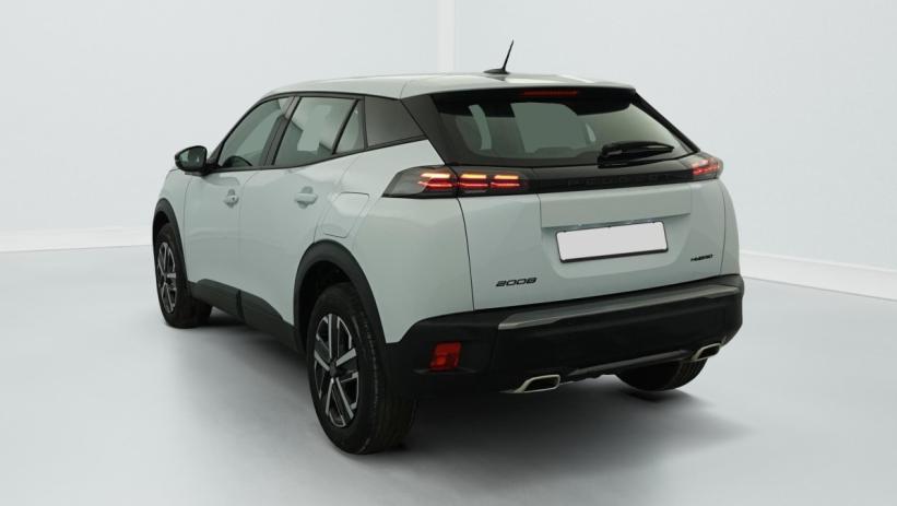 Aperçu du véhicule : Hybrid 145 e-DCS6 Style