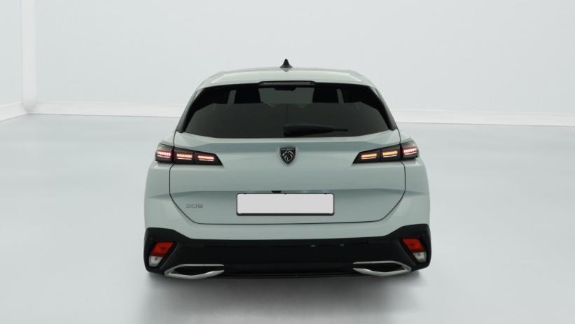 Aperçu du véhicule : Hybrid 145 e-DCS6 Allure