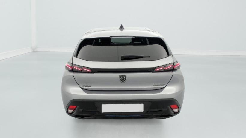 Aperçu du véhicule : Hybrid 145 e-DCS6 GT