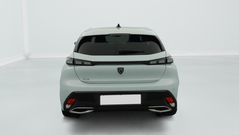 Aperçu du véhicule : Hybrid 145 e-DCS6 Allure