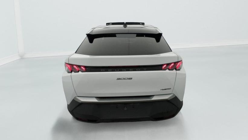 Aperçu du véhicule : Hybrid 145 e-DCS6 GT