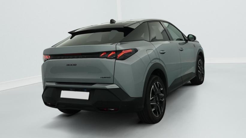 Aperçu du véhicule : Hybrid 145 e-DCS6 GT