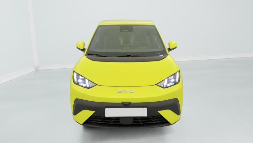 Aperçu du véhicule : 43.2 kWh 156 ch Comfort