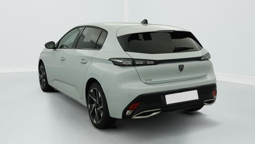 Aperçu du véhicule : Hybrid 145 e-DCS6 Allure