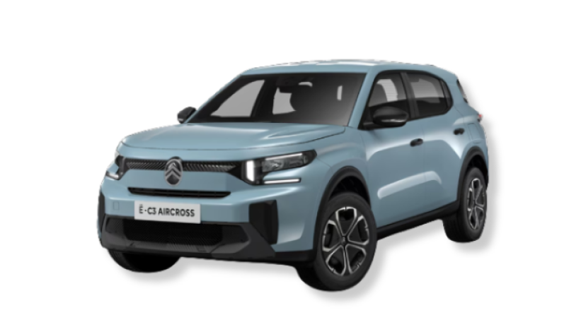 Aperçu du véhicule : 113 autonomie confort You