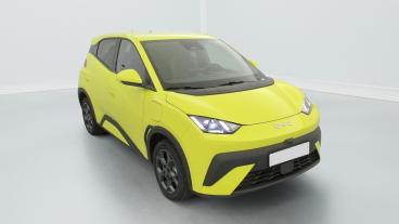 Aperçu du véhicule : 43.2 kWh 156 ch Comfort